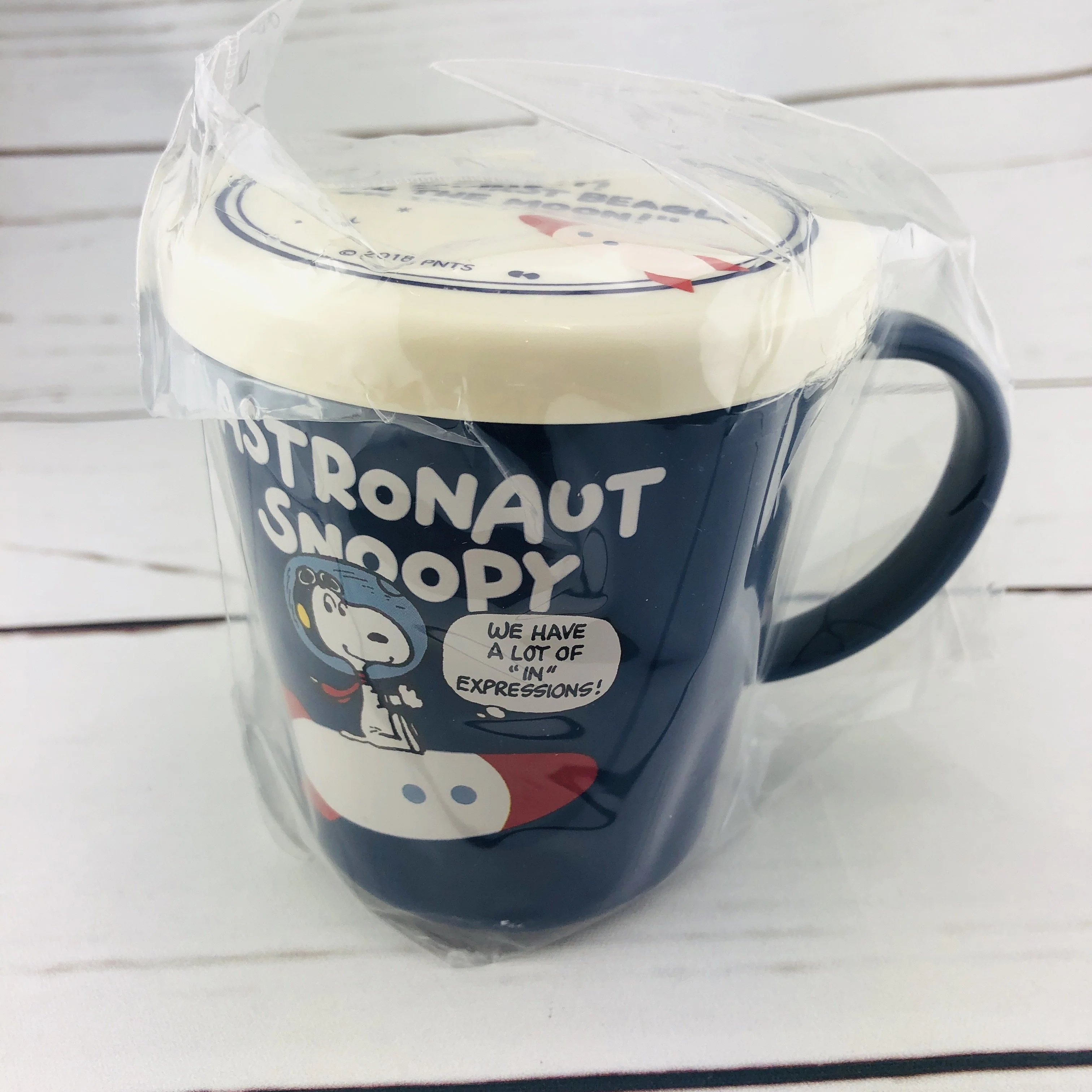 Astronaut Snoopy Lunch Box Set Made in Japan - Image 5