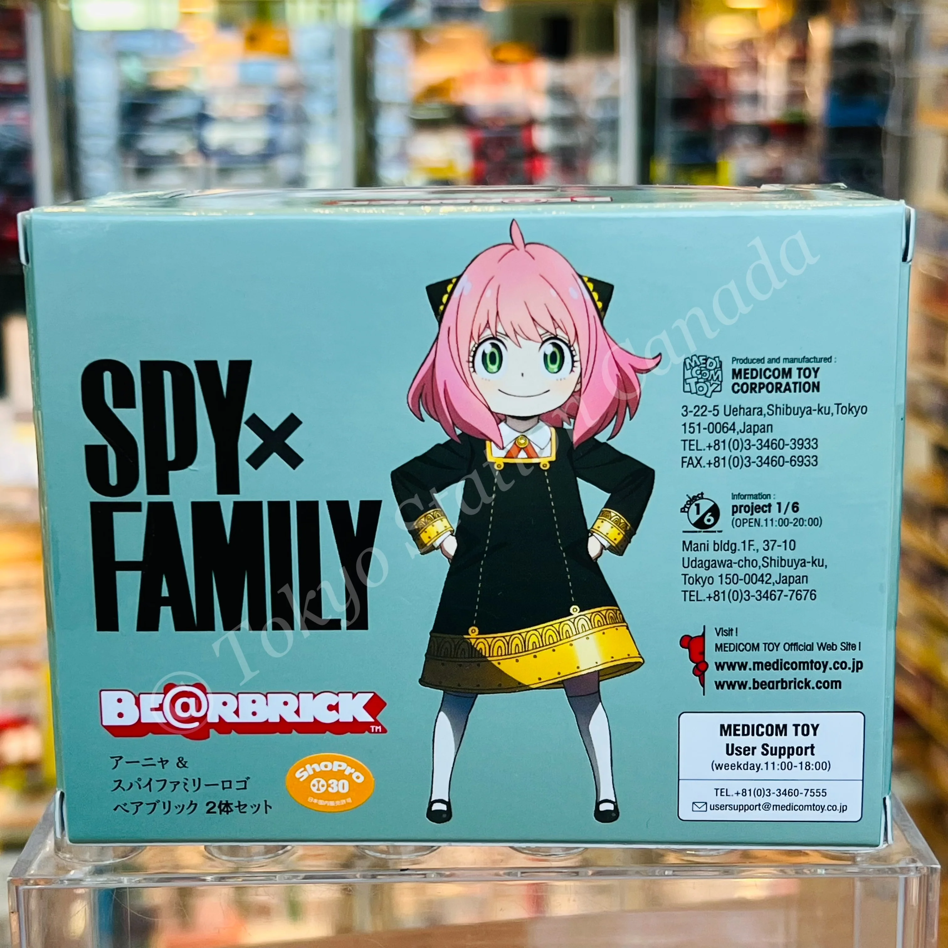 BEARBRICK SPY x FAMILY 100% 2 PCS - Image 3