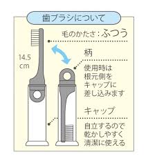Hello Kitty Toothbrush Set by SKATER TRKS1 - Image 7