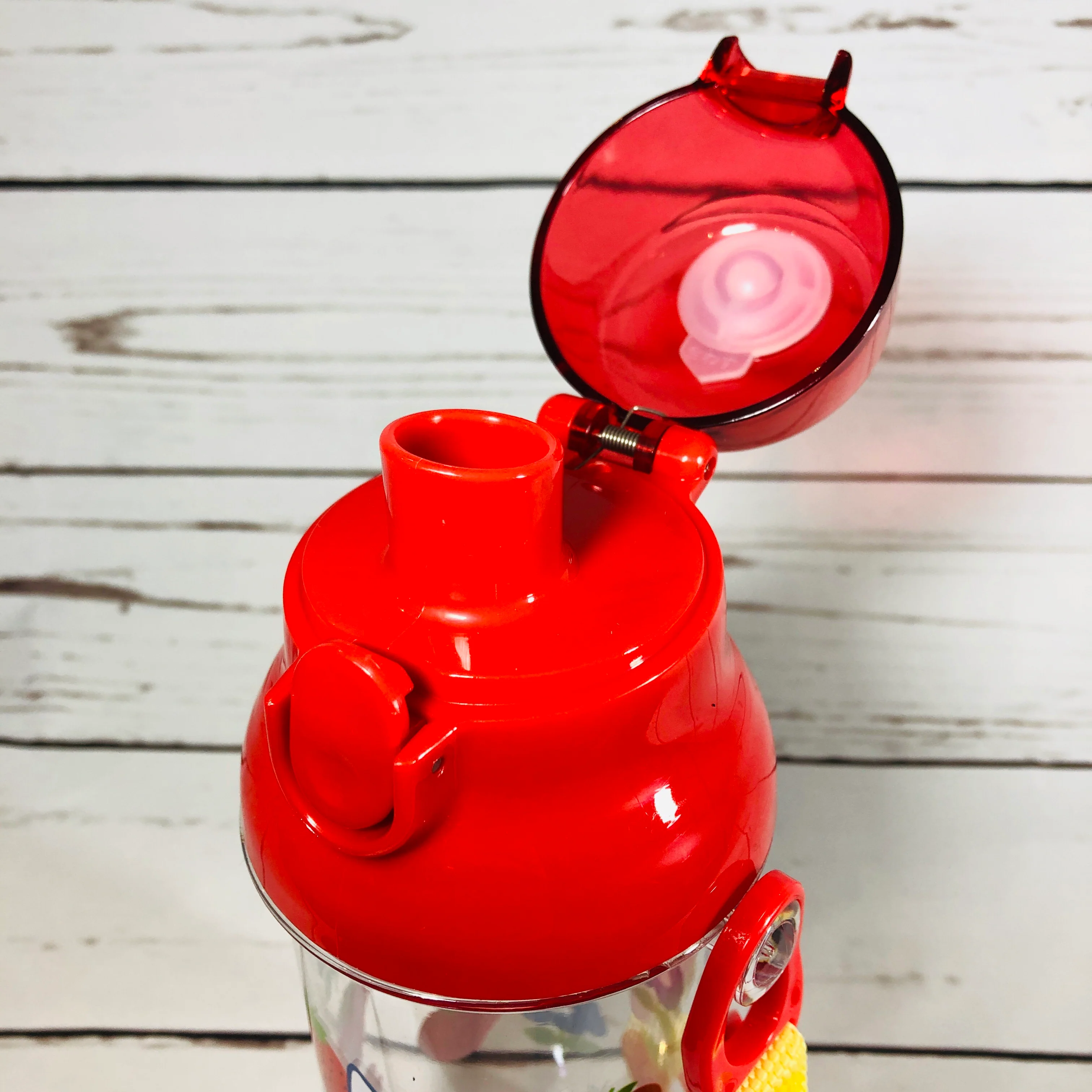 miffy Water Bottle 480ml S19MWBR - Image 3