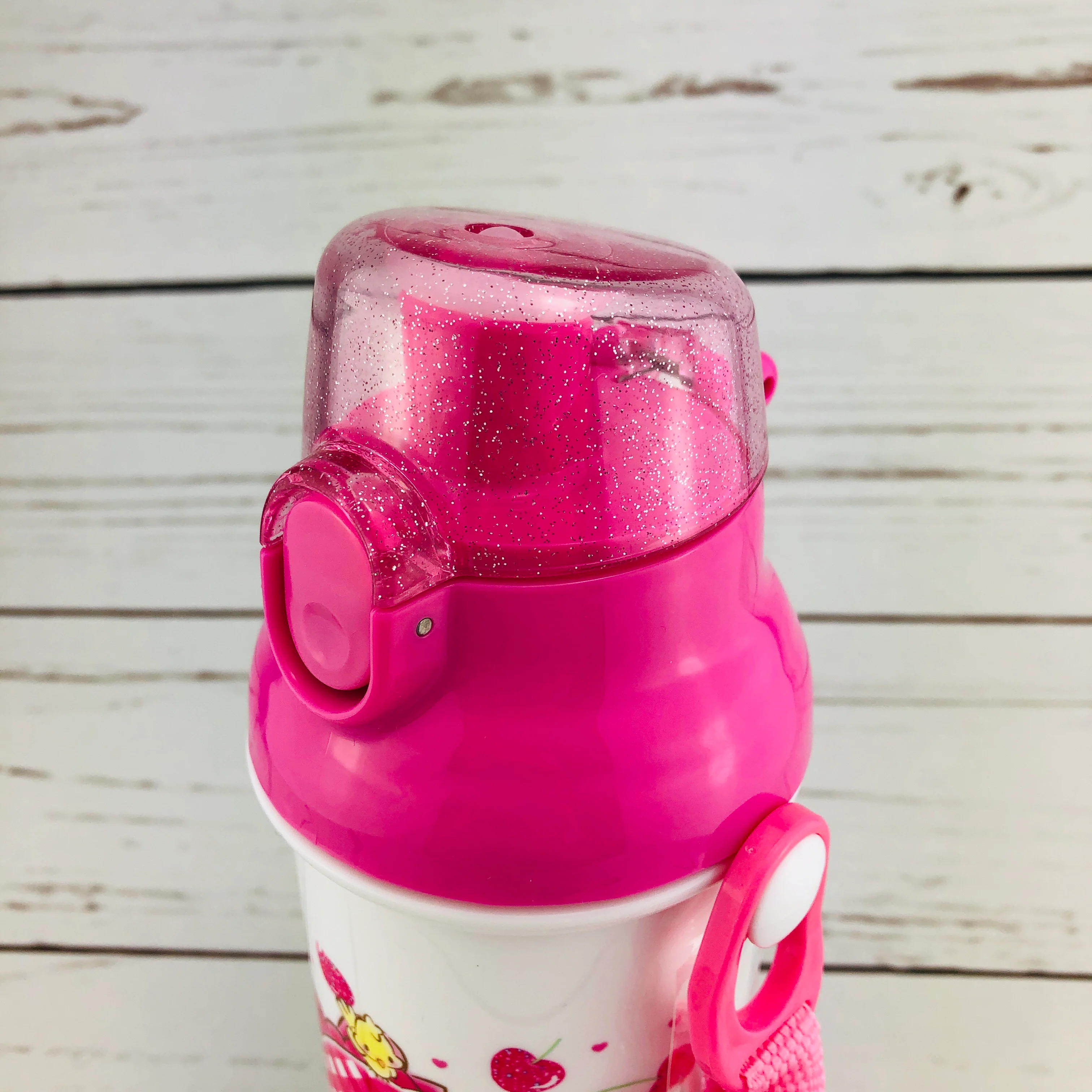 My Melody Water Bottle 480ml by Skater PSB5SAN Made in Japan - Image 2