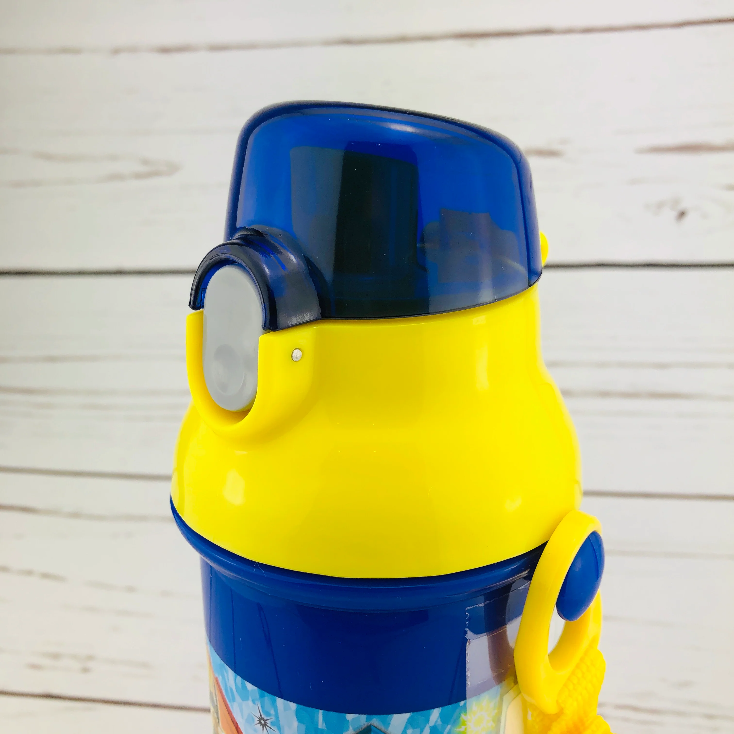 Pokemon Sun & Moon Water Bottle 480ml by Skater PSB5SAN Made in Japan - Image 4