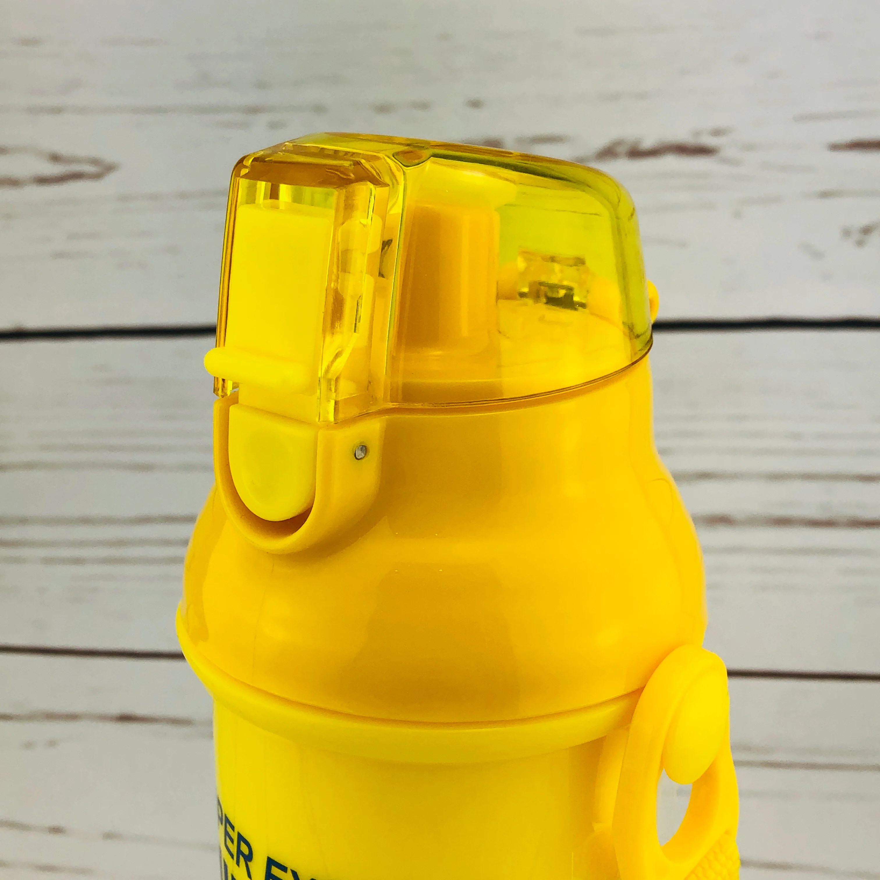 Super Express Shinkansen Water Bottle 480ml by Risseisha 立誠社 Made in Japan - Image 4