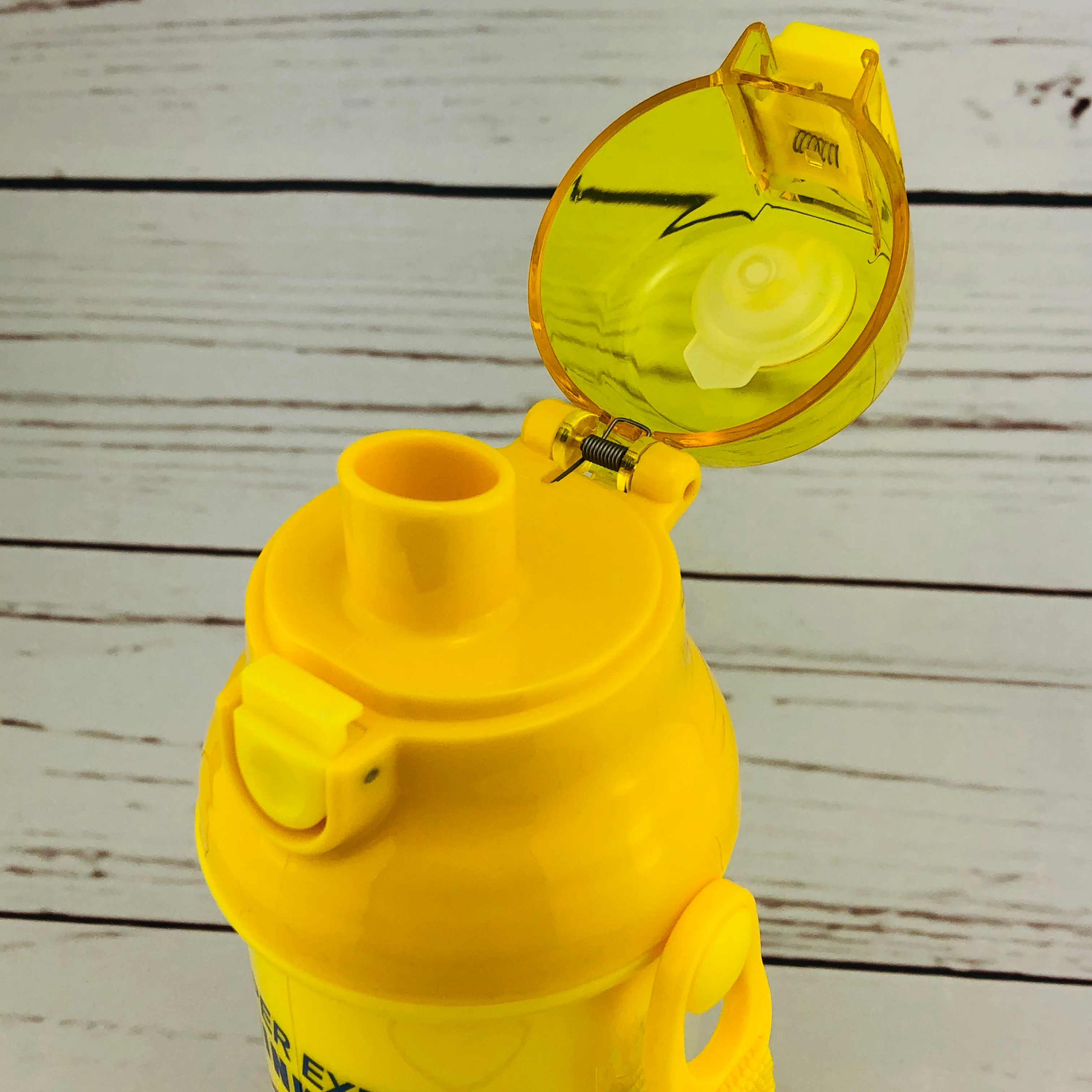 Super Express Shinkansen Water Bottle 480ml by Risseisha 立誠社 Made in Japan - Image 5