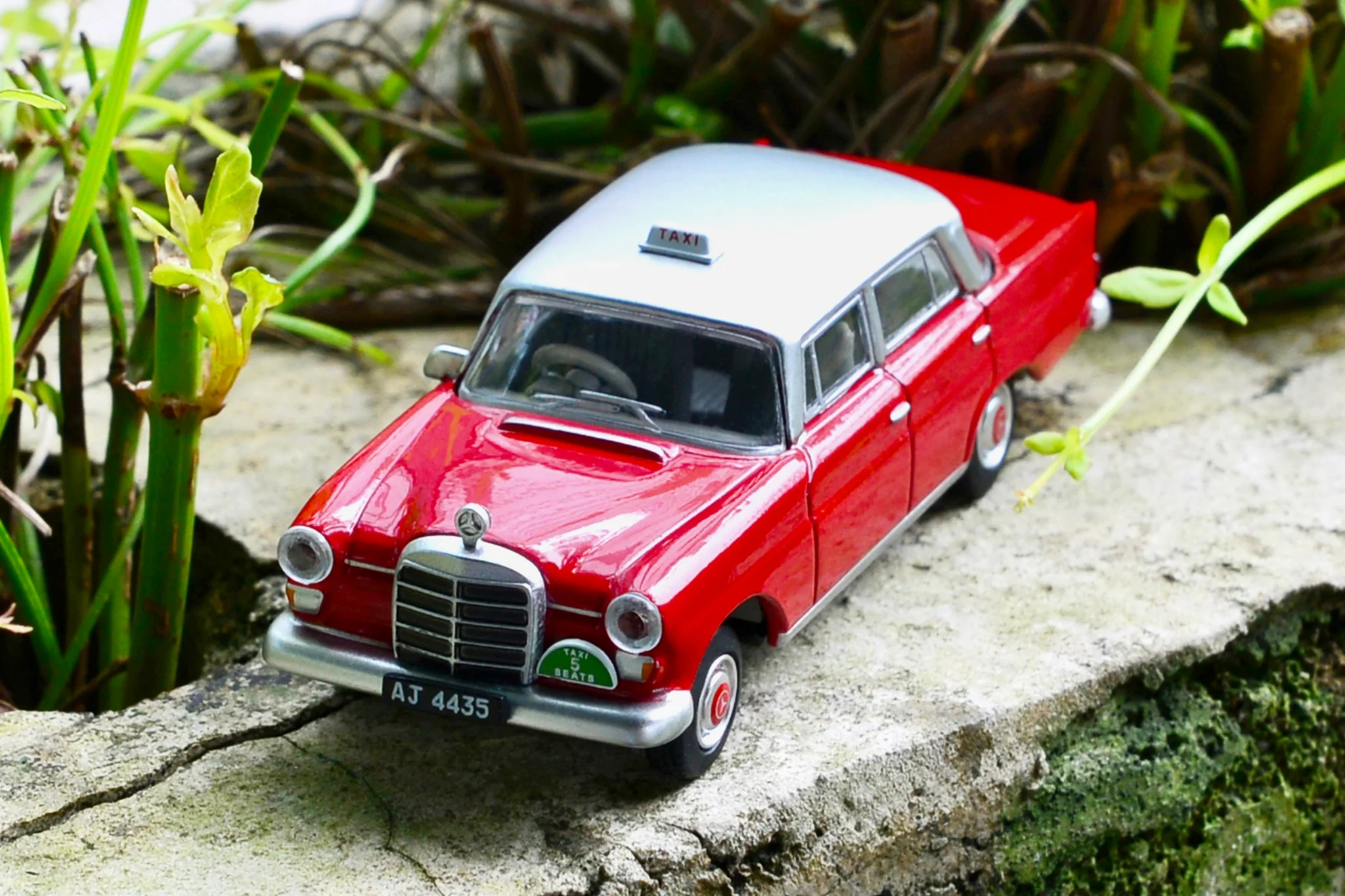 TINY 微影 Mercedes-Benz 200D Hong Kong Taxi Limited Edition - Image 2