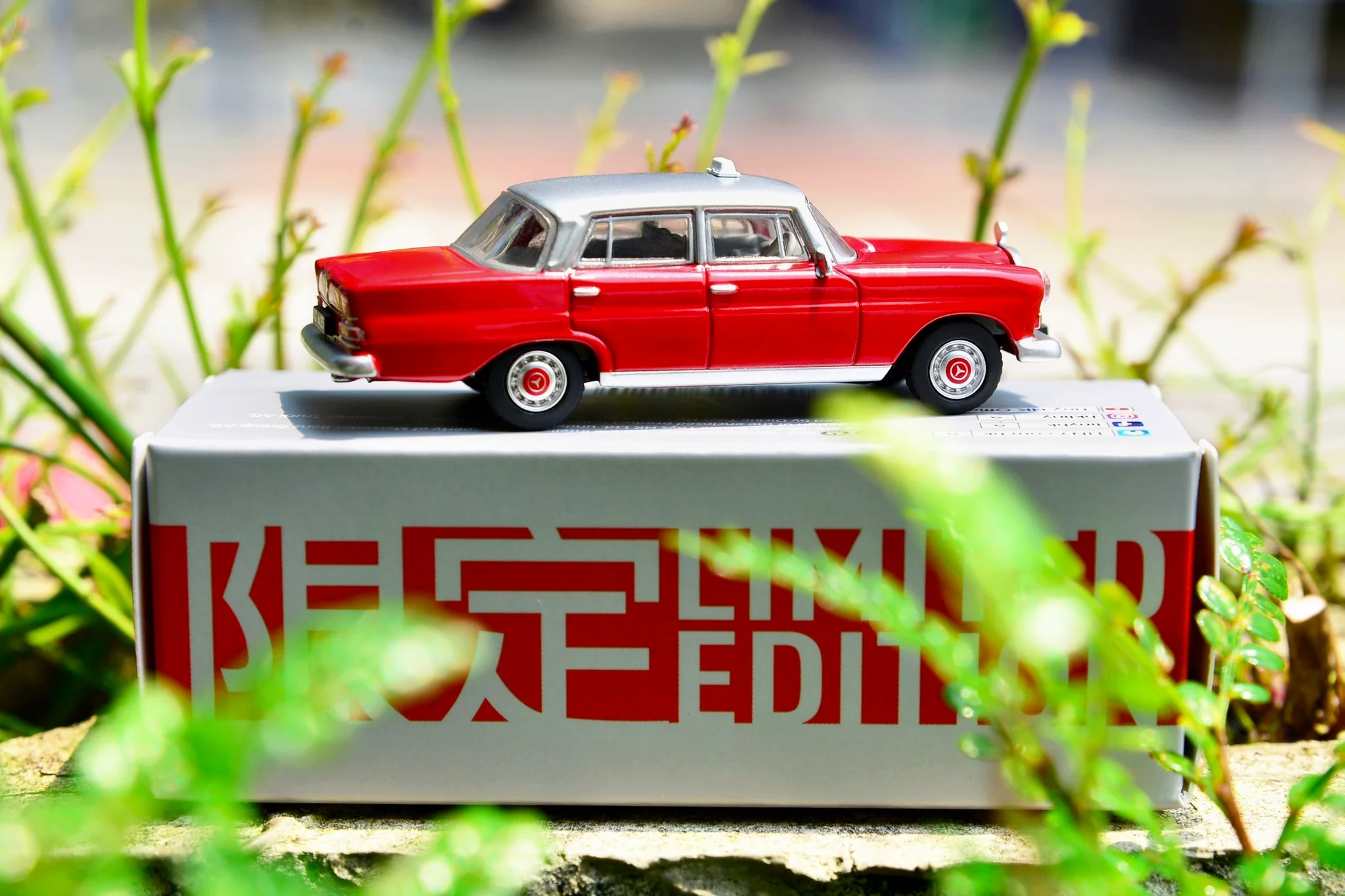 TINY 微影 Mercedes-Benz 200D Hong Kong Taxi Limited Edition - Image 3