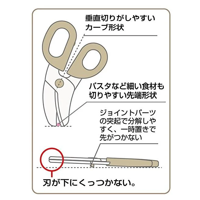 Winnie The Pooh Food Scissor with Case by SKATER BFC1 - Image 6